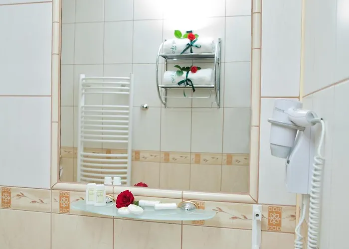 酒店 莱奥波利斯酒店 3*