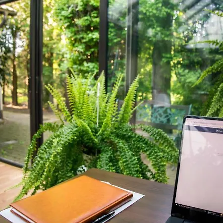 Leopolis クラクフ